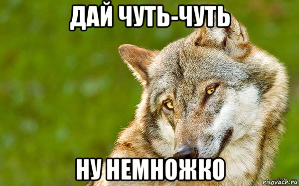 дай чуть-чуть ну немножко, Мем   Volf