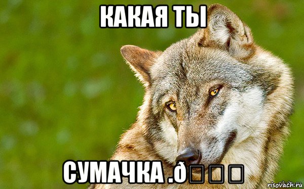 Мем   Volf