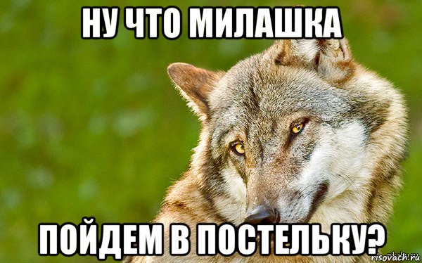 ну что милашка пойдем в постельку?, Мем   Volf