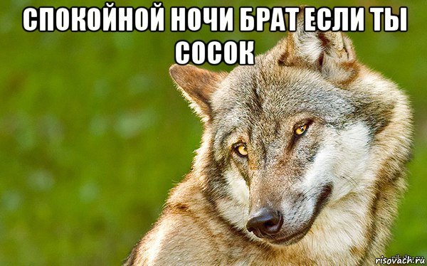 спокойной ночи брат если ты сосок , Мем   Volf