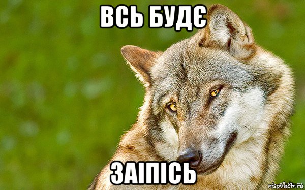 всь будє заіпісь, Мем   Volf