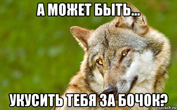 а может быть... укусить тебя за бочок?, Мем   Volf