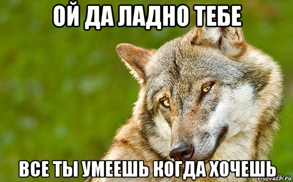 ой да ладно тебе все ты умеешь когда хочешь, Мем   Volf