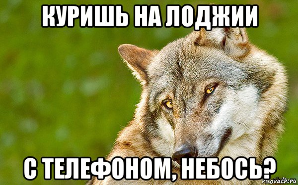 куришь на лоджии с телефоном, небось?, Мем   Volf