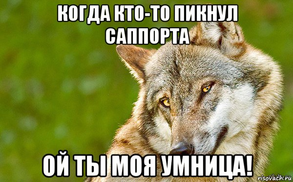 когда кто-то пикнул саппорта ой ты моя умница!, Мем   Volf