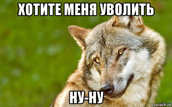 хотите меня уволить ну-ну, Мем   Volf