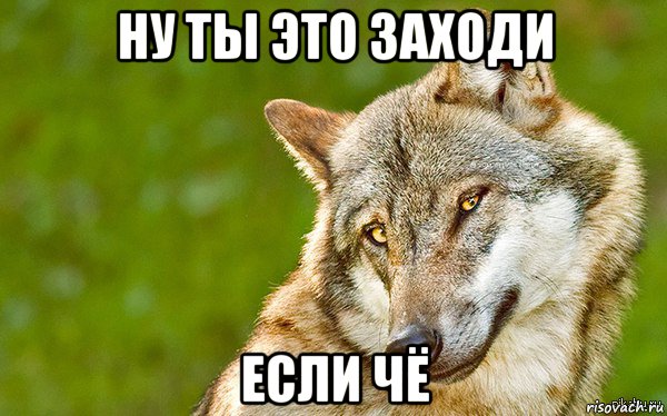 ну ты это заходи если чё, Мем   Volf