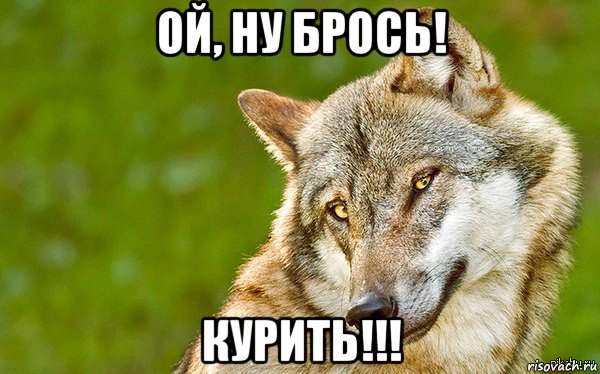 ой, ну брось! курить!!!, Мем   Volf