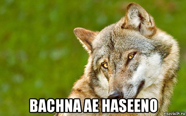  bachna ae haseeno, Мем   Volf