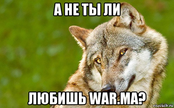 а не ты ли любишь war.ma?, Мем   Volf