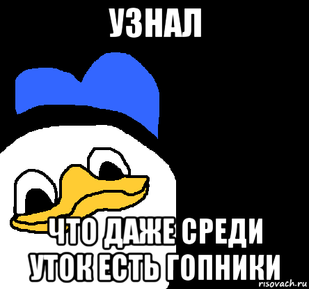 узнал что даже среди уток есть гопники, Мем ВСЕ ОЧЕНЬ ПЛОХО