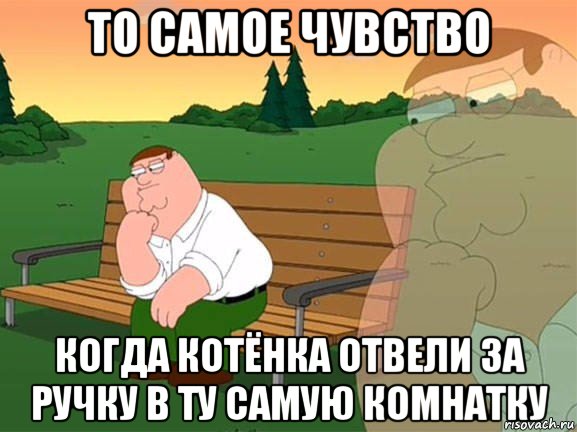 то самое чувство когда котёнка отвели за ручку в ту самую комнатку, Мем Задумчивый Гриффин