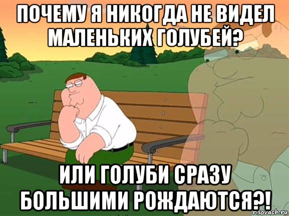 почему я никогда не видел маленьких голубей? или голуби сразу большими рождаются?!, Мем Задумчивый Гриффин