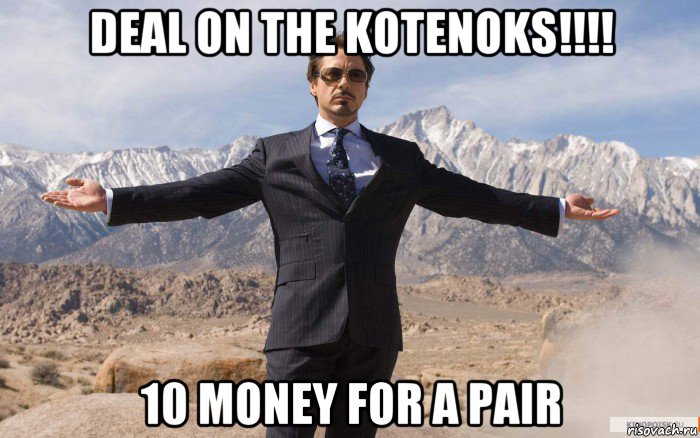 deal on the kotenoks!!!! 10 money for a pair, Мем железный человек