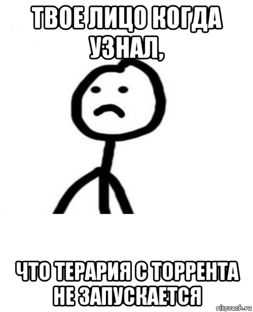 твое лицо когда узнал, что терария с торрента не запускается, Мем Грустный теребонька