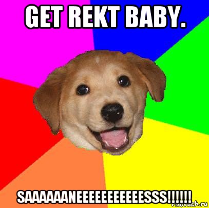 get rekt baby. saaaaaaneeeeeeeeeeesss!!!!!!, Мем Advice Dog