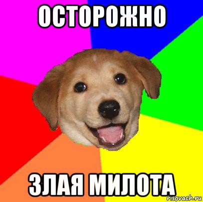 осторожно злая милота, Мем Advice Dog