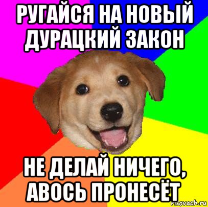 ругайся на новый дурацкий закон не делай ничего, авось пронесёт, Мем Advice Dog