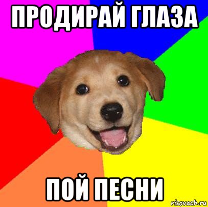 продирай глаза пой песни, Мем Advice Dog