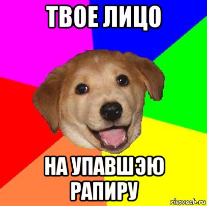 твое лицо на упавшэю рапиру, Мем Advice Dog