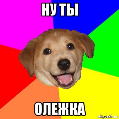 ну ты олежка, Мем Advice Dog