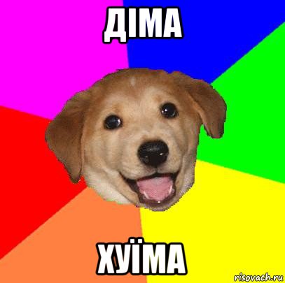 діма хуїма, Мем Advice Dog