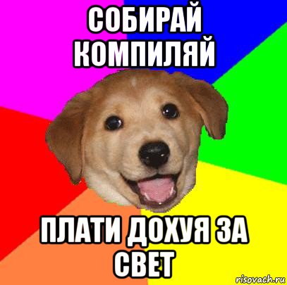 собирай компиляй плати дохуя за свет, Мем Advice Dog