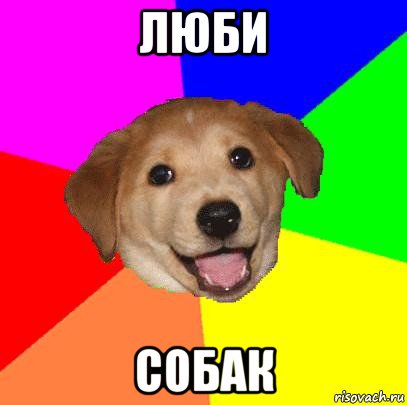 люби собак, Мем Advice Dog