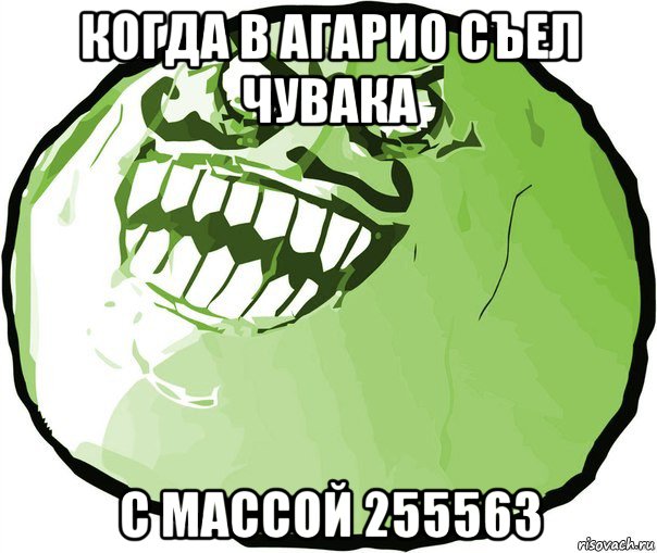 когда в агарио съел чувака с массой 255563