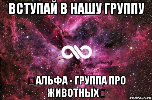 вступай в нашу группу ★альфа - группа про животных★, Мем офигенно