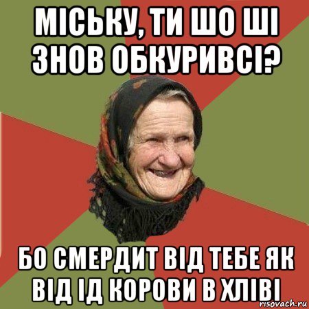 міську, ти шо ші знов обкуривсі? бо смердит від тебе як від ід корови в хліві, Мем  Бабушка