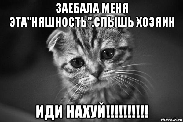 заебала меня эта''няшность''.слышь хозяин иди нахуй!!!!!!!!!!, Мем  безысходность