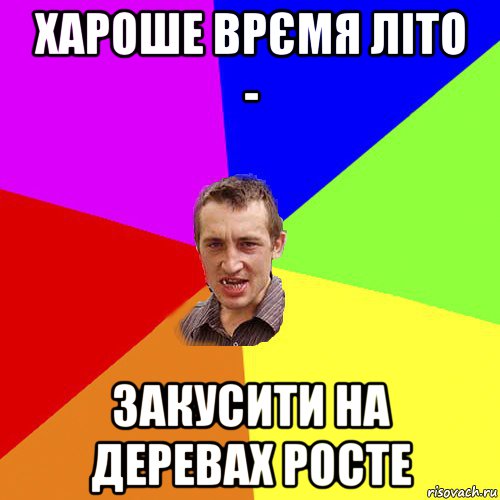 хароше врємя літо - закусити на деревах росте, Мем Чоткий паца