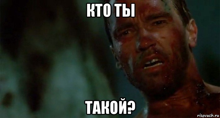 кто ты такой?, Мем Что ты такое