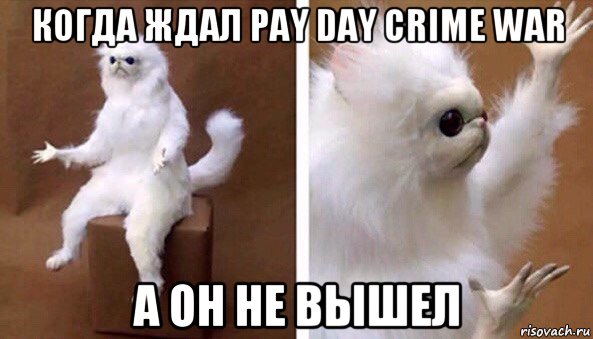 когда ждал pay day crime war а он не вышел, Мем Чучело кота