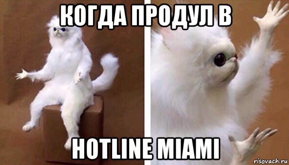 когда продул в hotline miami, Мем Чучело кота