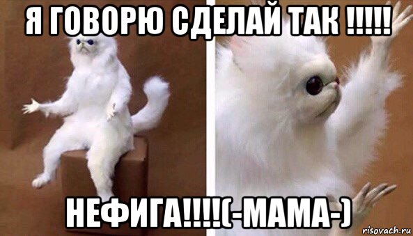 я говорю сделай так !!!!! нефига!!!!(-мама-), Мем Чучело кота