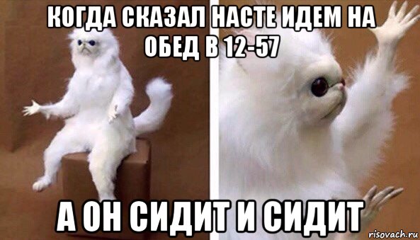 когда сказал насте идем на обед в 12-57 а он сидит и сидит, Мем Чучело кота