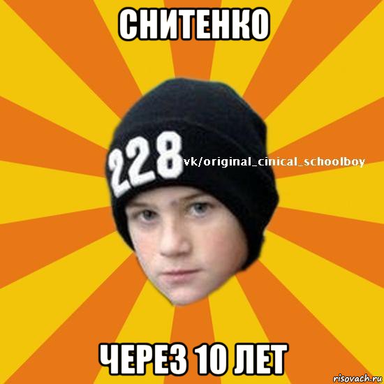 снитенко через 10 лет, Мем  Циничный школьник