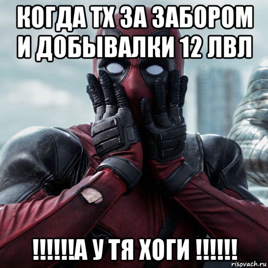 когда тх за забором и добывалки 12 лвл !!!!!!а у тя хоги !!!!!!, Мем     Дэдпул