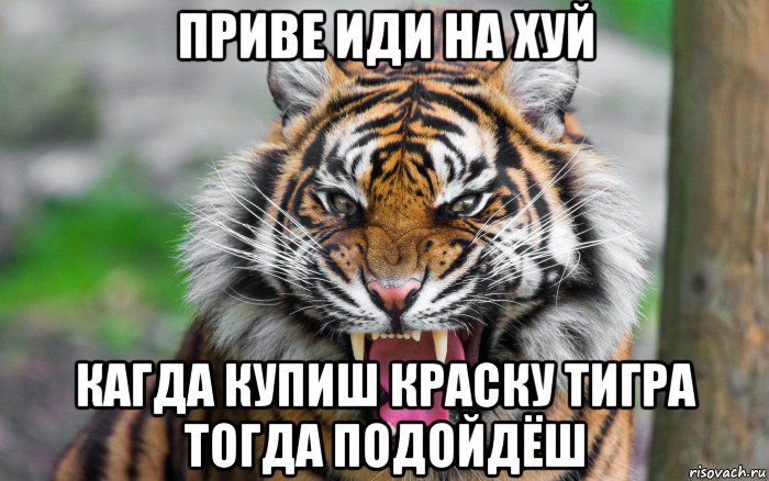 приве иди на хуй кагда купиш краску тигра тогда подойдёш, Мем ДЕРЗКИЙ ТИГР