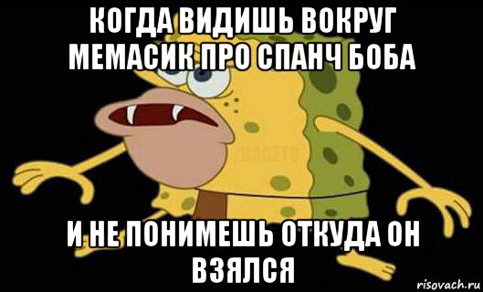 когда видишь вокруг мемасик про спанч боба и не понимешь откуда он взялся, Мем Дикий спанч боб