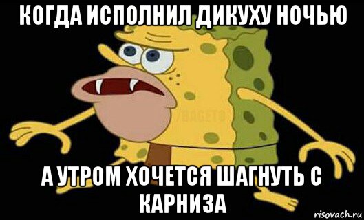 когда исполнил дикуху ночью а утром хочется шагнуть с карниза, Мем Дикий спанч боб