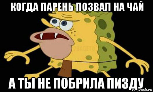 когда парень позвал на чай а ты не побрила пизду, Мем Дикий спанч боб