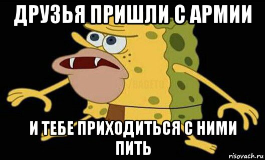 друзья пришли с армии и тебе приходиться с ними пить, Мем Дикий спанч боб