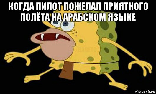 когда пилот пожелал приятного полёта на арабском языке , Мем Дикий спанч боб