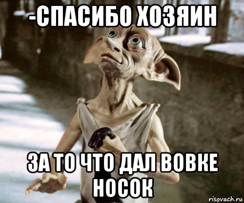 -спасибо хозяин за то что дал вовке носок