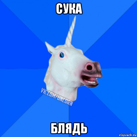 сука блядь