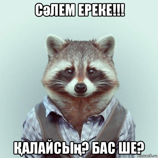 сәлем ереке!!! Қалайсың? бас ше?