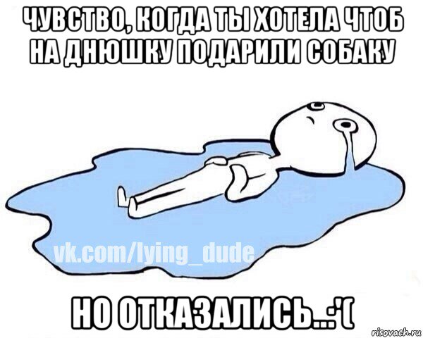 чувство, когда ты хотела чтоб на днюшку подарили собаку но отказались..:'(, Мем Этот момент когда